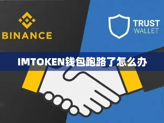 IMTOKEN钱包跑路了怎么办