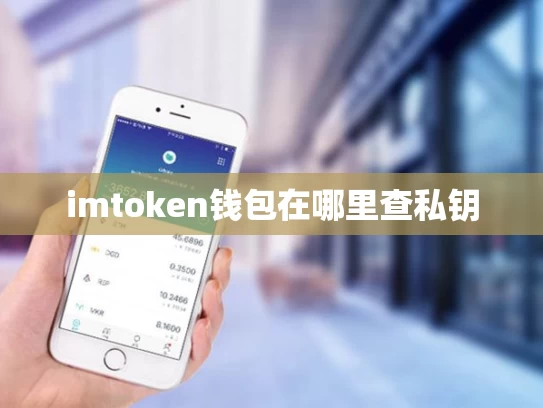 imtoken钱包在哪里查私钥