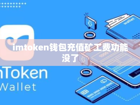 imtoken钱包充值矿工费功能没了