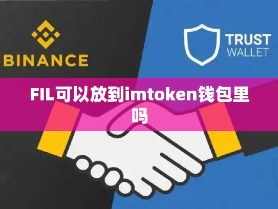 FIL可以放到imtoken钱包里吗