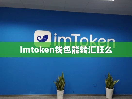 imtoken钱包能转汇旺么