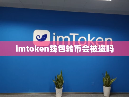 imtoken钱包转币会被盗吗
