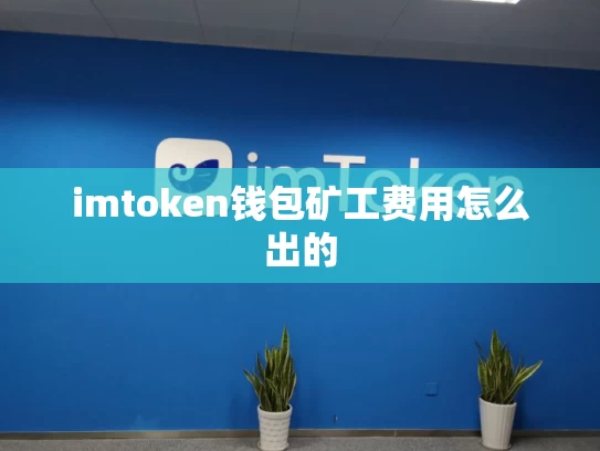 imtoken钱包矿工费用怎么出的