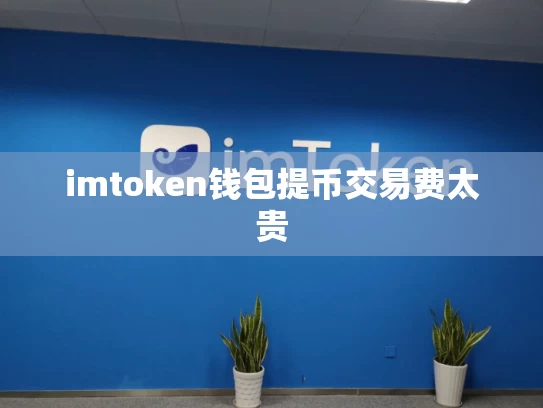 imtoken钱包提币交易费太贵