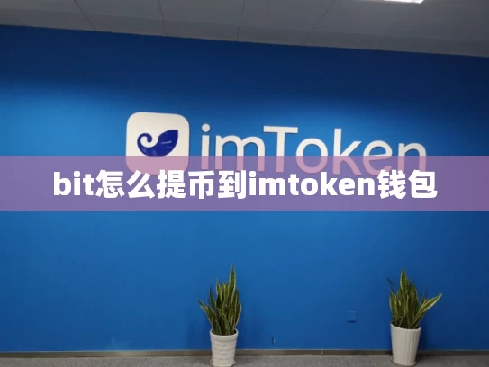 bit怎么提币到imtoken钱包