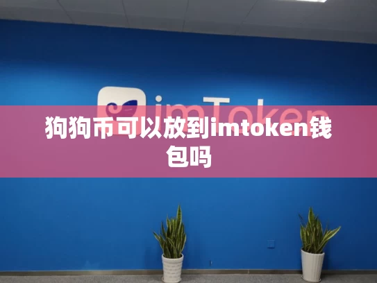 狗狗币可以放到imtoken钱包吗