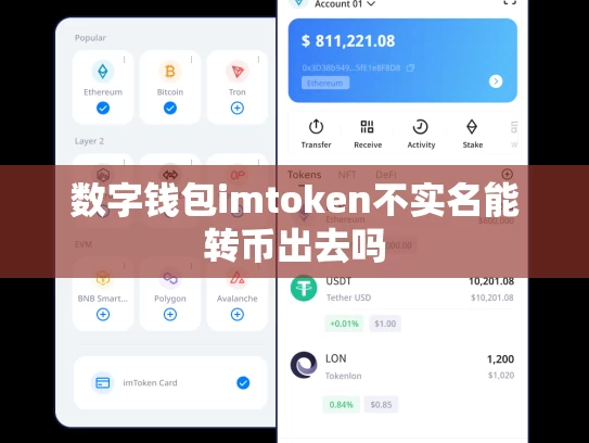 数字钱包imtoken不实名能转币出去吗