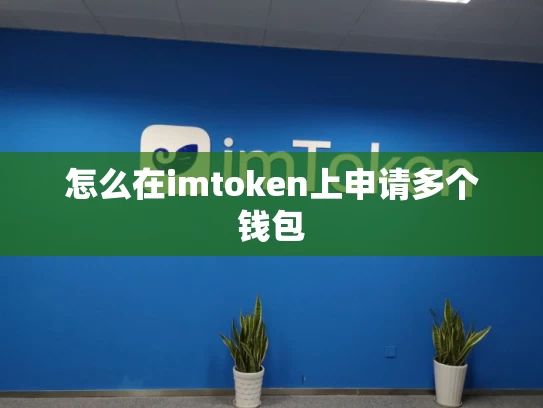 怎么在imtoken上申请多个钱包