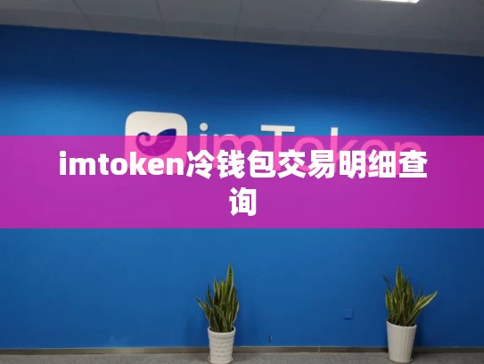imtoken冷钱包交易明细查询