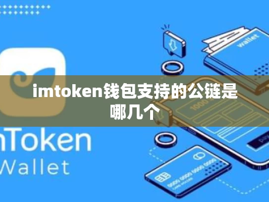 imtoken钱包支持的公链是哪几个