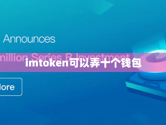 imtoken可以弄十个钱包
