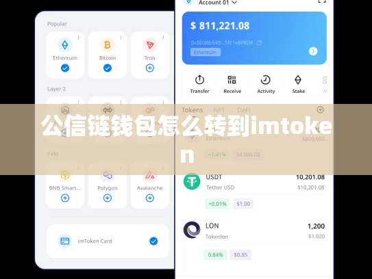 公信链钱包怎么转到imtoken