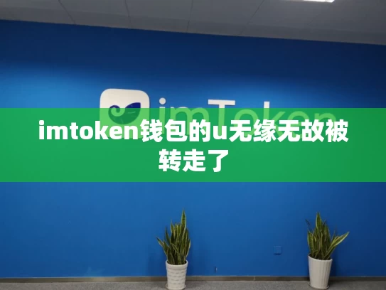 imtoken钱包的u无缘无故被转走了