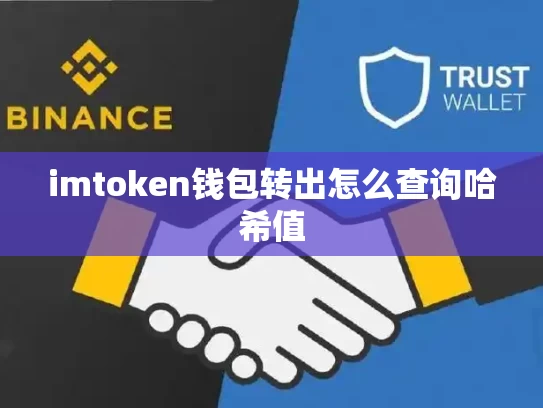 imtoken钱包转出怎么查询哈希值