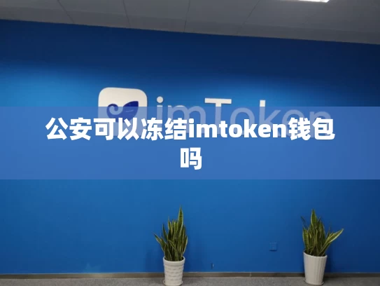 公安可以冻结imtoken钱包吗
