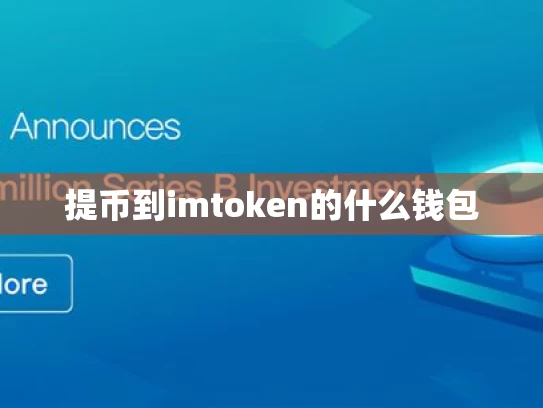 提币到imtoken的什么钱包