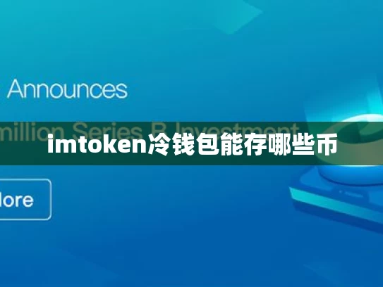 imtoken冷钱包能存哪些币