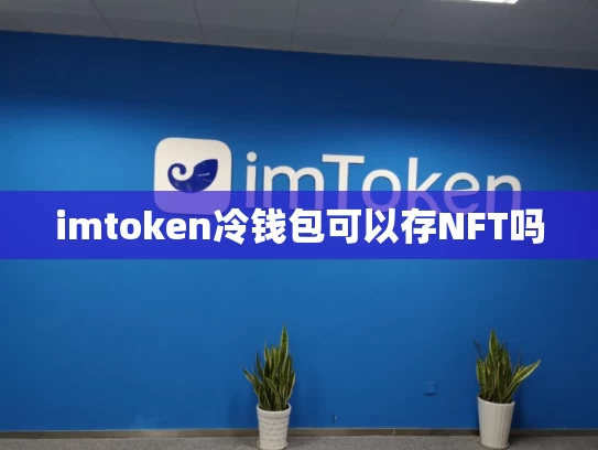 imtoken冷钱包可以存NFT吗