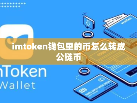 imtoken钱包里的币怎么转成公链币