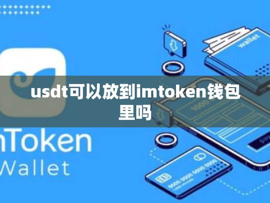 usdt可以放到imtoken钱包里吗