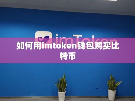 如何用imtoken钱包购买比特币