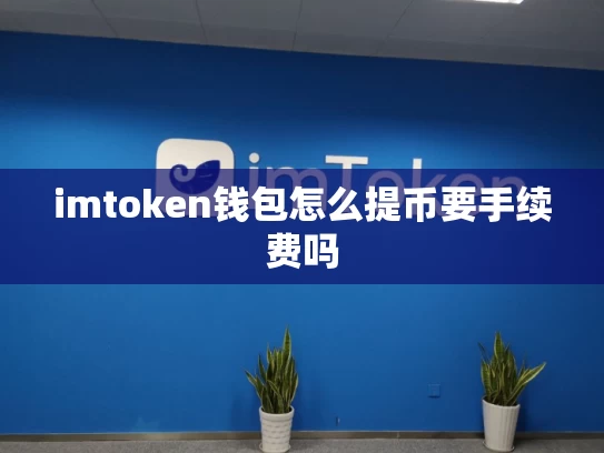 imtoken钱包怎么提币要手续费吗