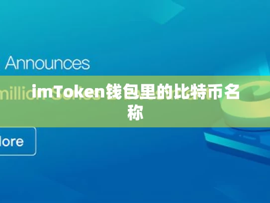 imToken钱包里的比特币名称