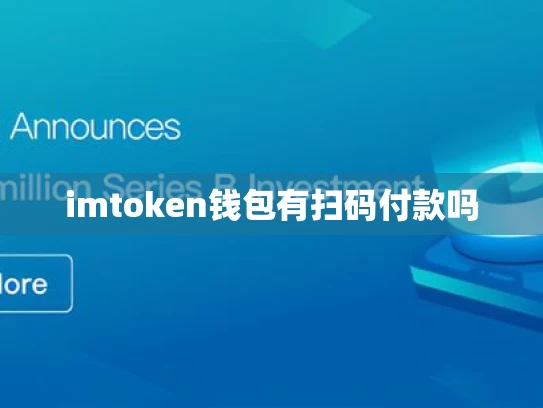 imtoken钱包有扫码付款吗