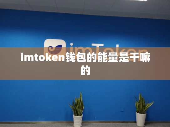 imtoken钱包的能量是干嘛的