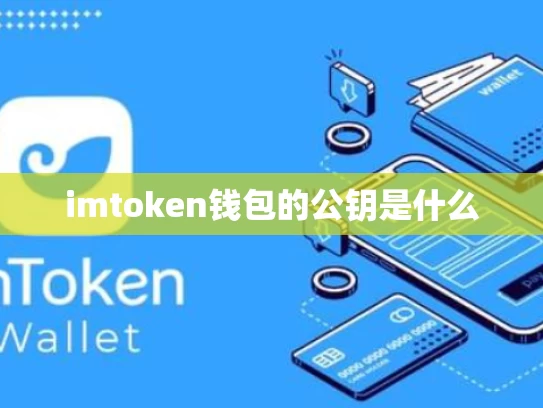 imtoken钱包的公钥是什么