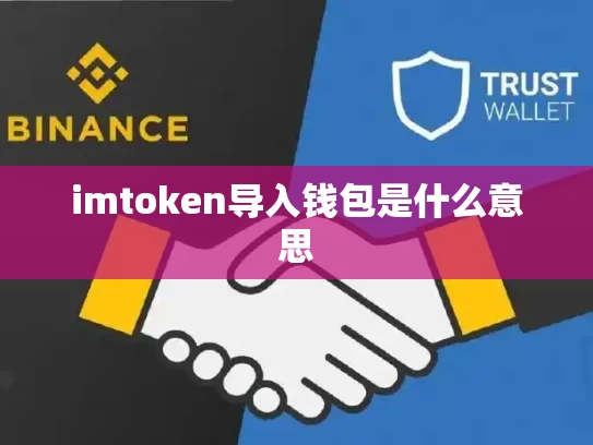 imtoken导入钱包是什么意思