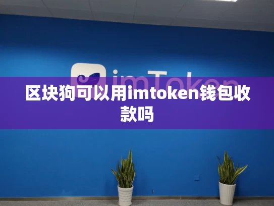 区块狗可以用imtoken钱包收款吗