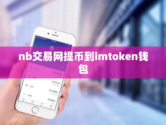 nb交易网提币到imtoken钱包