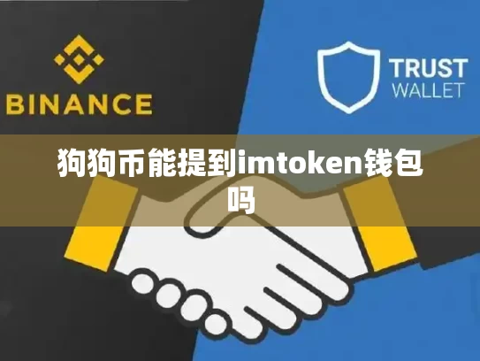 狗狗币能提到imtoken钱包吗