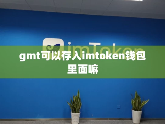 gmt可以存入imtoken钱包里面嘛