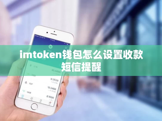 imtoken钱包怎么设置收款短信提醒