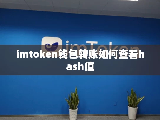 imtoken钱包转账如何查看hash值
