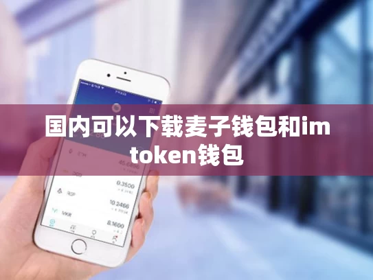 国内可以下载麦子钱包和imtoken钱包