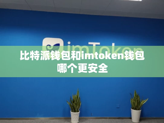 比特派钱包和imtoken钱包哪个更安全