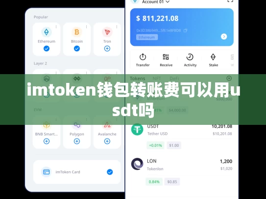 imtoken钱包转账费可以用usdt吗