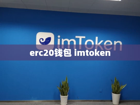 erc20钱包 imtoken