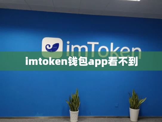 imtoken钱包app看不到