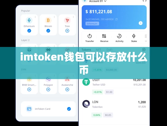 imtoken钱包可以存放什么币