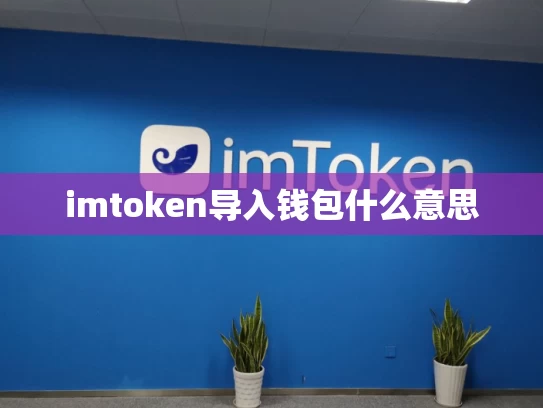 imtoken导入钱包什么意思