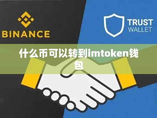 什么币可以转到imtoken钱包