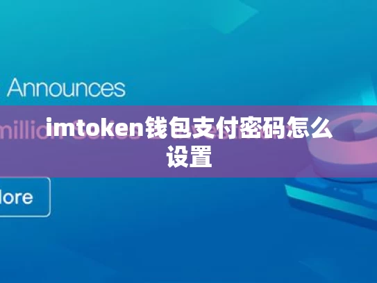 imtoken钱包支付密码怎么设置