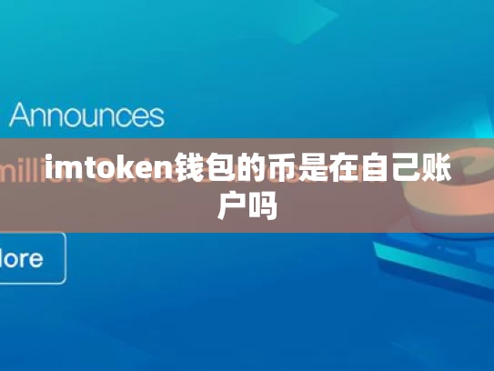imtoken钱包的币是在自己账户吗
