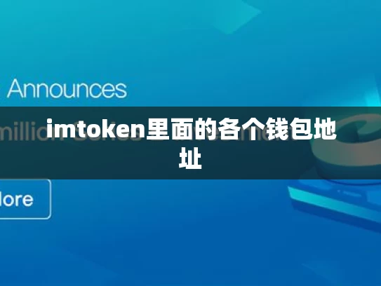 imtoken里面的各个钱包地址