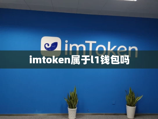 imtoken属于l1钱包吗