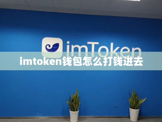 imtoken钱包怎么打钱进去